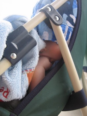 See, I told you there was a baby under there!