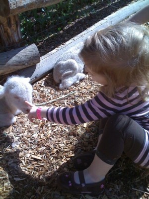 Her version of petting was often more of a delicate poke.