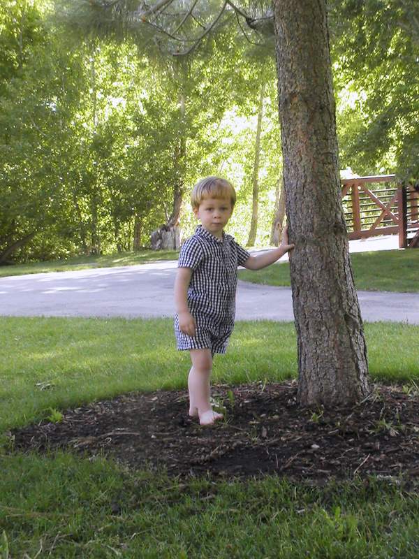 I call this one, "Boy and Tree".