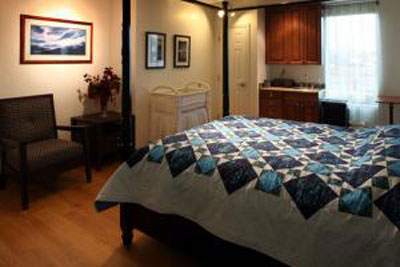 The birth room. This photo doesn't do it justice, in my opinion, but the room is large and comfortable and inviting. Just what a birthing mother needs.