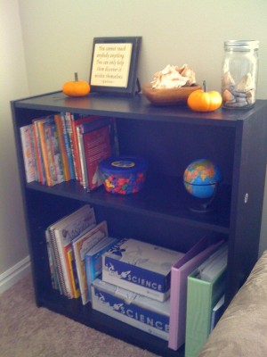Our school materials. Just looking at our little shelf makes me happy.