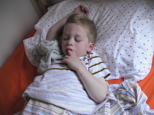 The best sleeping buddy ever.