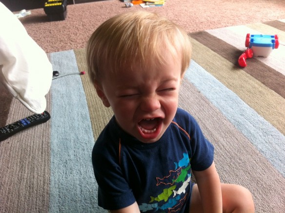 2 seconds later upon hearing that he would not get to hold said phone.