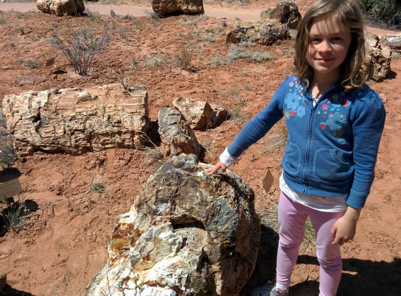 We also hiked through a petrified forest. It was pretty amazing--lots and lots of petrified wood. It was fun to see the different colors and just marvel at the process that turned wood to stone.