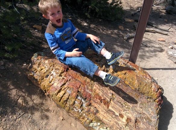 Riding some petrified wood.