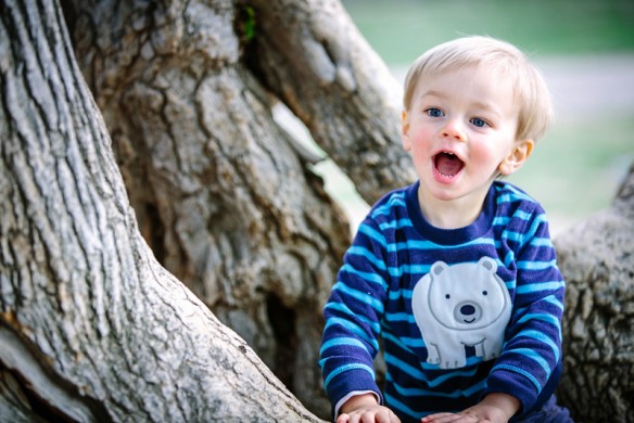 So delighted to be sitting in a tree! And to be alive! 